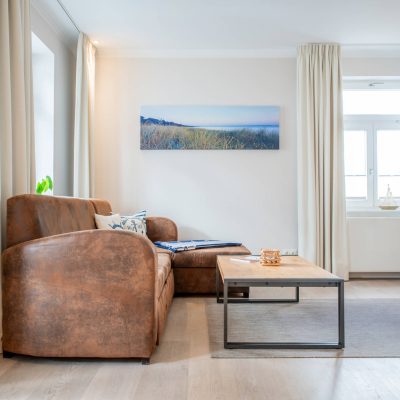 Duenenhaus_Silbermoewe_1